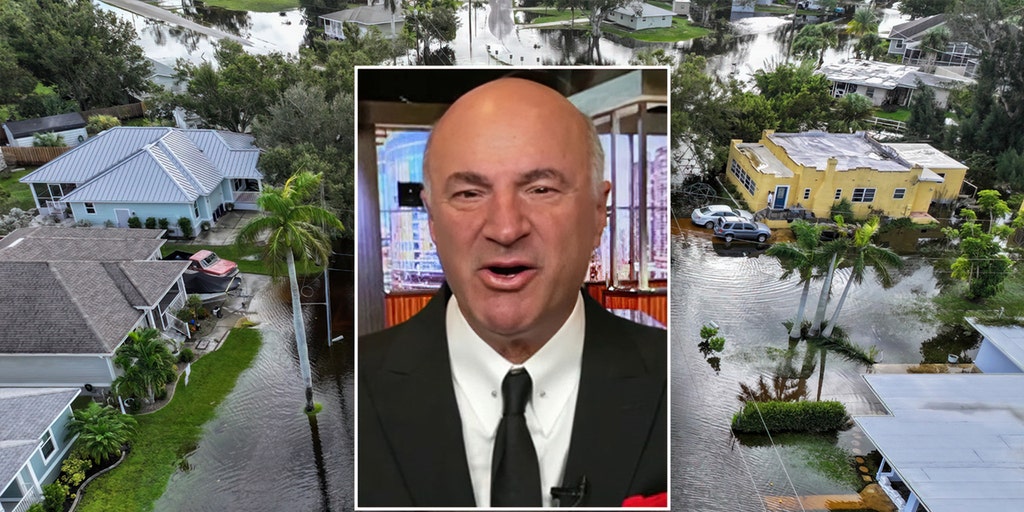 Florida insurance executive downplays hurricane risk concerns in public statement.