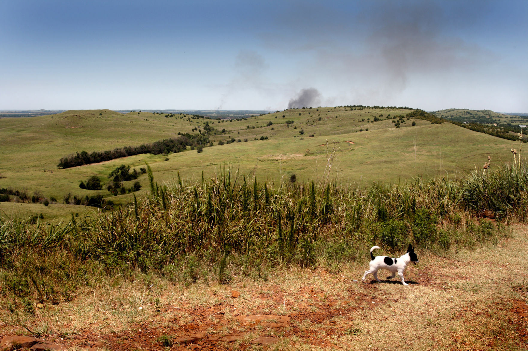 Expert real estate guidance in the Southern High Plains region.