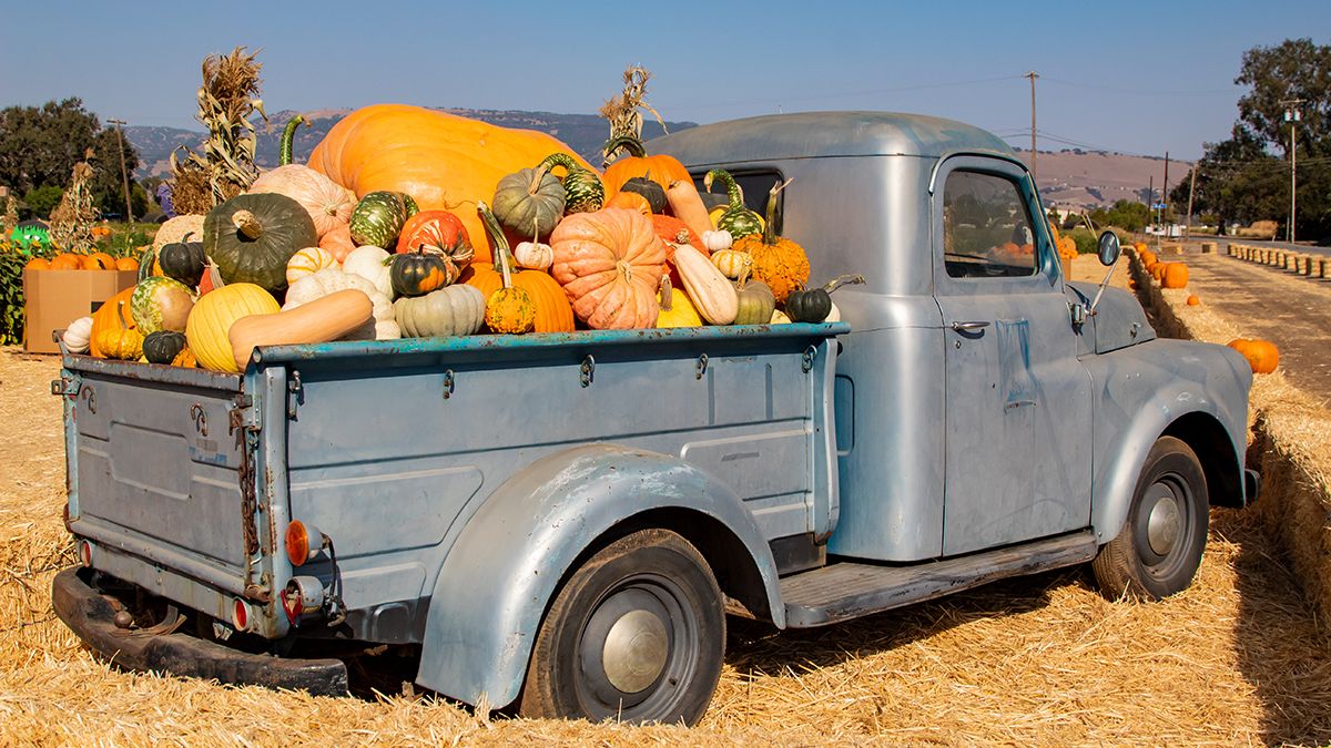 Spooky homes decorated with autumnal themes attract buyers on Halloween market tours.