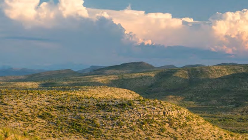 Texas purchases vast ranches near southern border, including 350,000-acre southwest land.