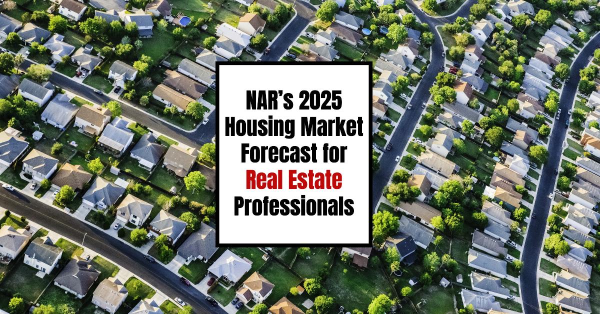 2025 US housing market analysis for realtors and industry experts.