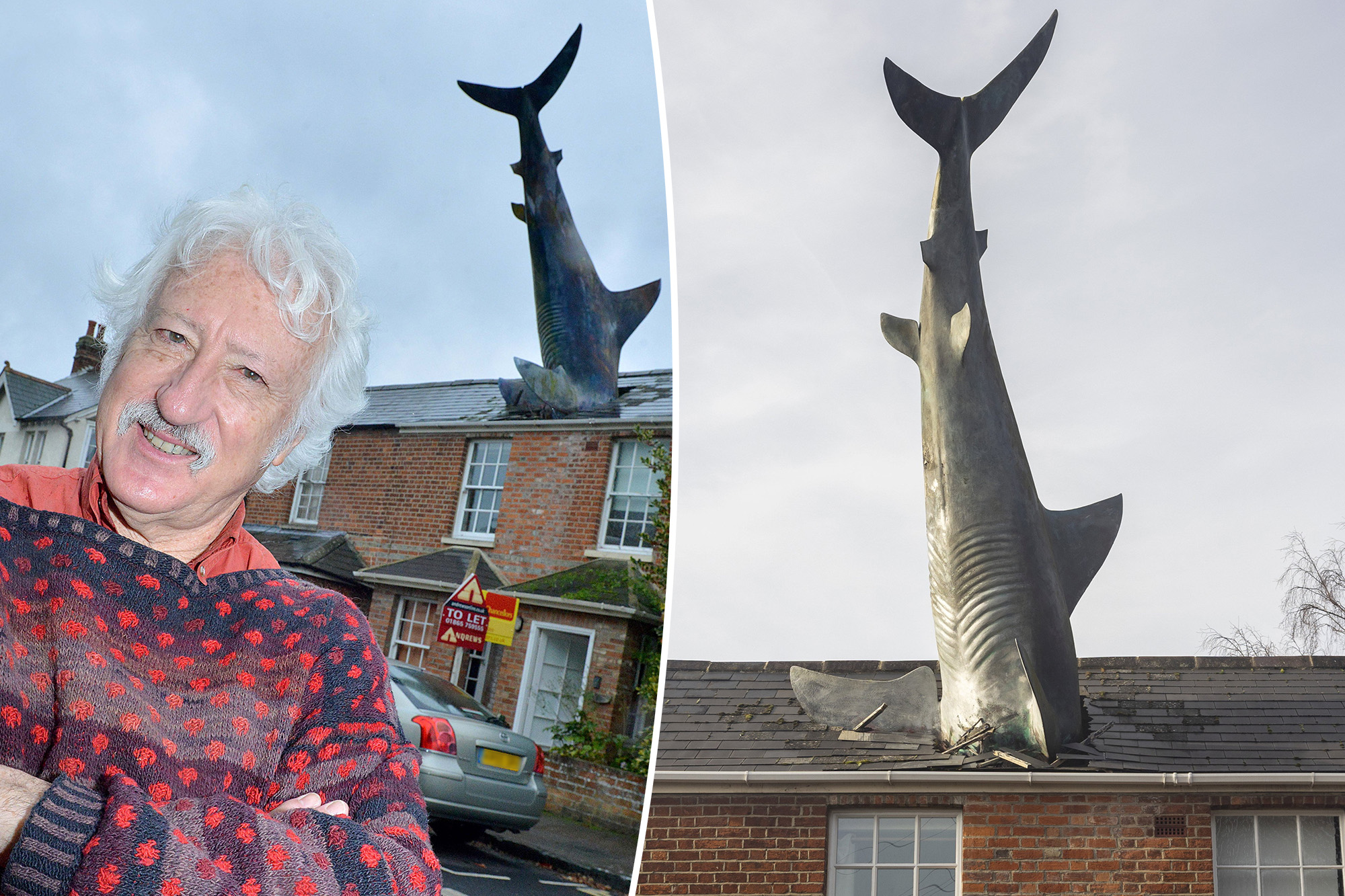 Shark-themed Airbnb in trouble due to backlash, possible closure looming.