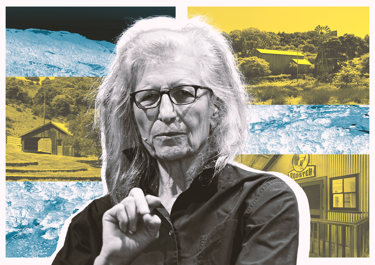 Annie Leibovitz sells Marin County estate for $8.5 million, luxury property.