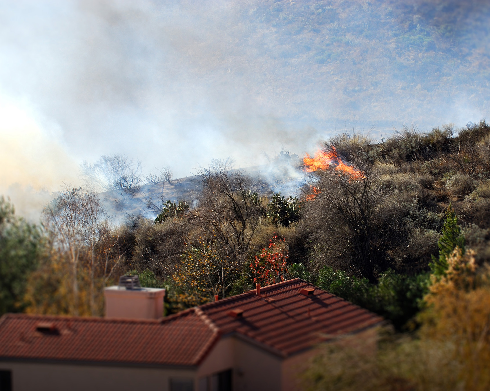 California wildfires devastate homes and neighborhoods in Los Angeles County landscape.