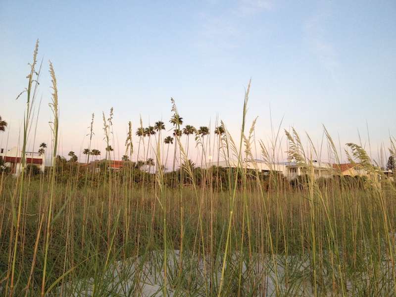 Colorful beach houses line sun-kissed shores of Pinellas Beach in Florida.