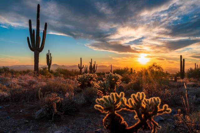 Desert landscape with buildings, illustrating regional insights in commercial real estate development.