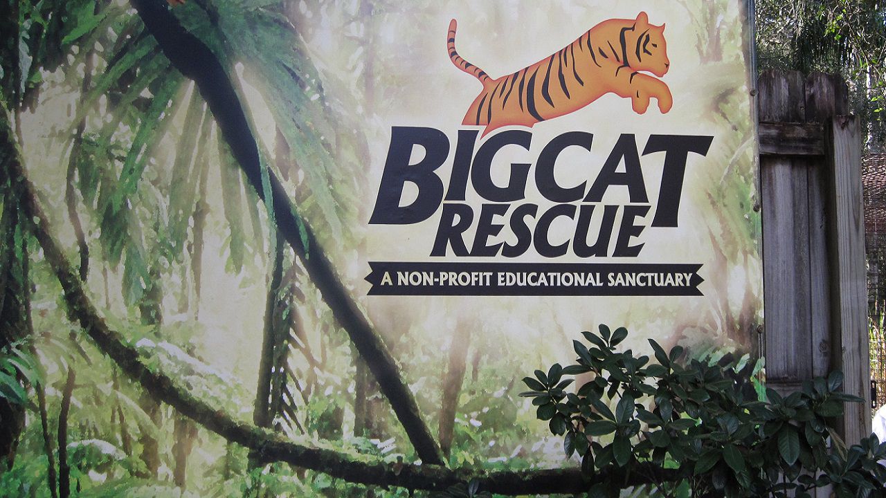 Tampa big cat sanctuary relocates to Arkansas, sells Florida property.