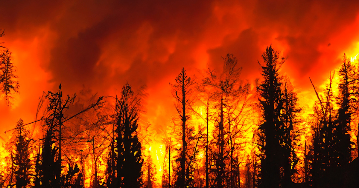 California home insurance market struggles amidst growing crisis and increasing wildfires.