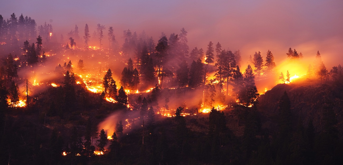 LA wildfires cause widespread destruction, thousands of buildings lost in California.