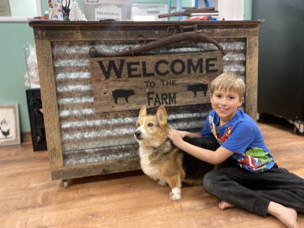 Schmidt Century Farm store opens, offering fresh produce in rural area.