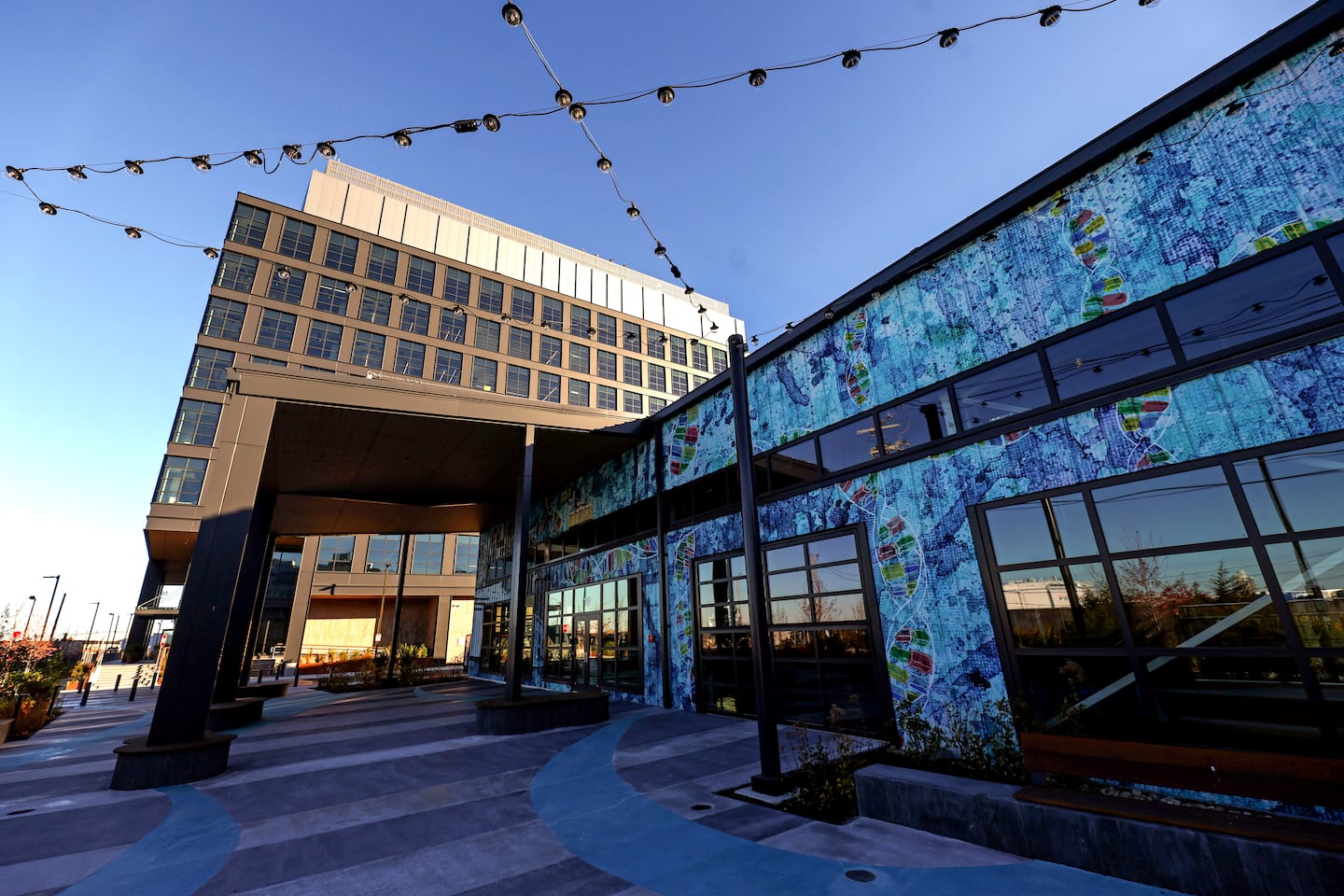 Ginkgo tree in Seaport area, reduced development footprint and green space preserved.