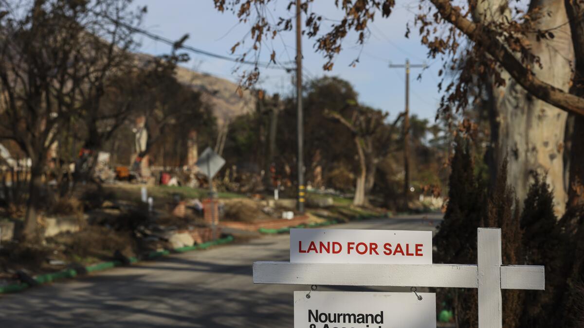 Two burned lots in Altadena and Pacific Palisades listed for sale.