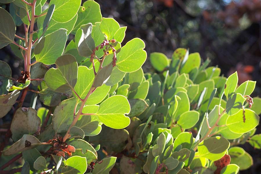 Sustainable landscaping upgrades in bloom, perfect timing for eco-friendly gardening projects nationwide.